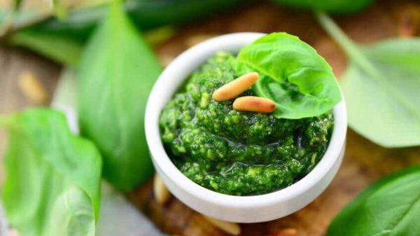 Basilikum Pesto