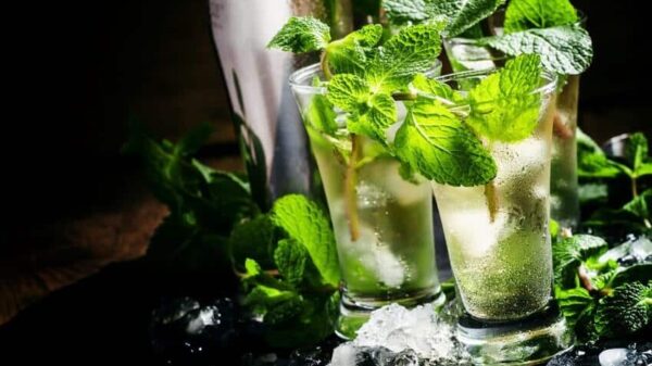 Hugo Mojito Cocktail