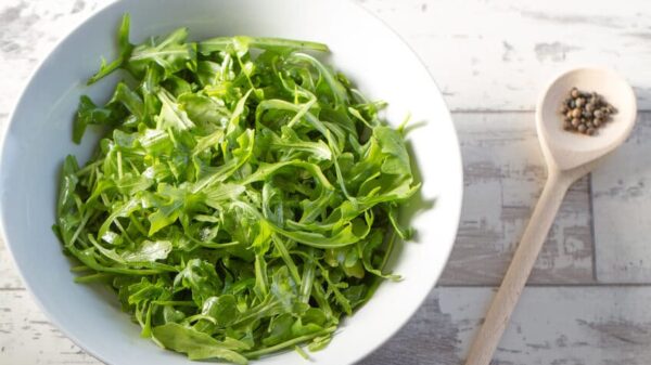 Rucola Salat