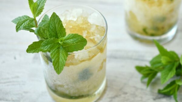 Mint Julep Cocktail Rezept